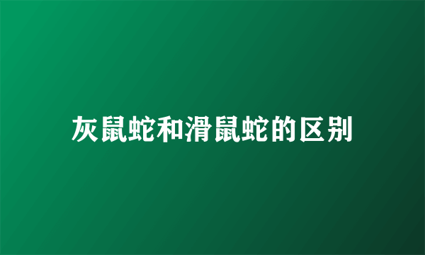 灰鼠蛇和滑鼠蛇的区别