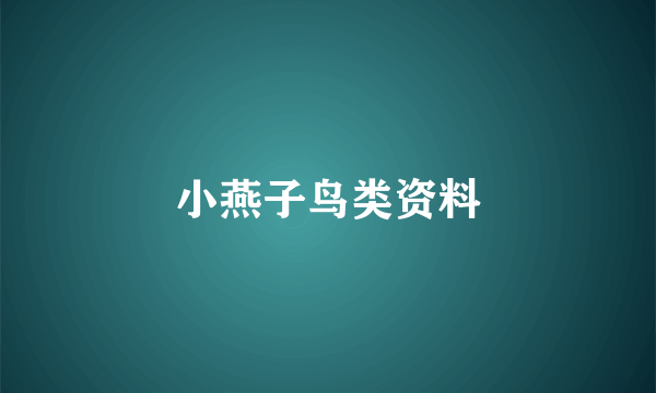 小燕子鸟类资料