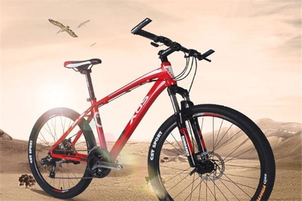 自行车火了：价格上万的高端车竟然被抢空，高端自行车为什么会升值呢？