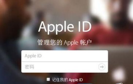 apple id密码是什么密码？