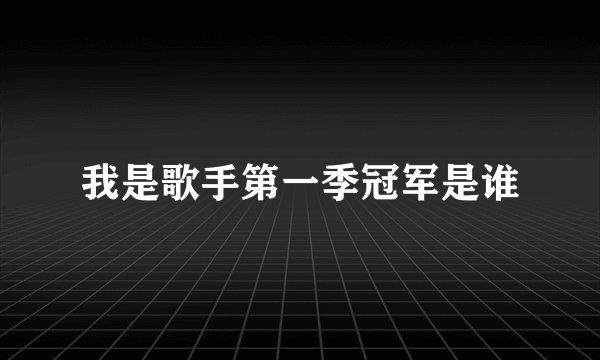 我是歌手第一季冠军是谁