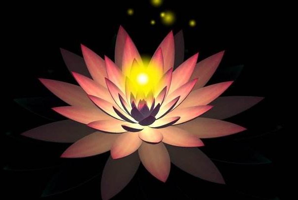 法师真身封龛是什么意思