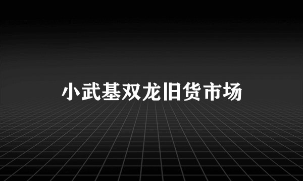 小武基双龙旧货市场