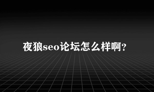 夜狼seo论坛怎么样啊？