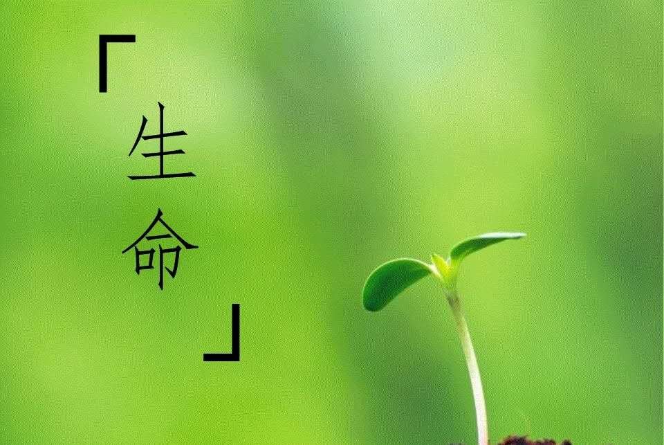 家人把孩子忘车内互相推卸责任，有没有对孩子造成伤害？