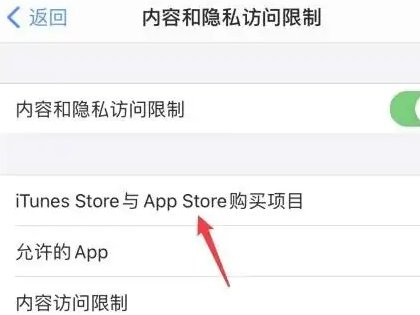 怎么禁止手机下载软件