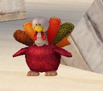 炫舞里，绒布火鸡在哪里啊？