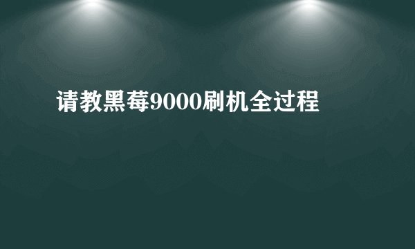 请教黑莓9000刷机全过程