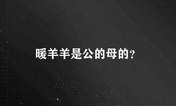 暖羊羊是公的母的？