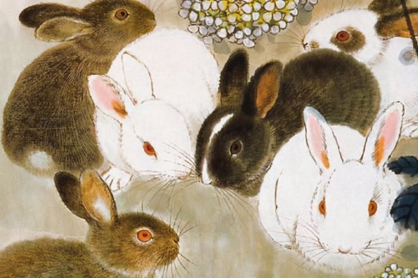 妾妇之道指一生肖