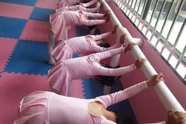 舞蹈生惩罚方法特疼100条