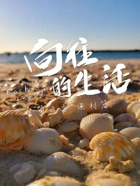 向往的生活在哪播