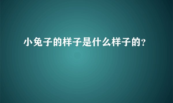 小兔子的样子是什么样子的?