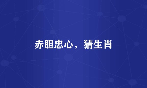 赤胆忠心，猜生肖