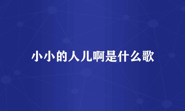小小的人儿啊是什么歌