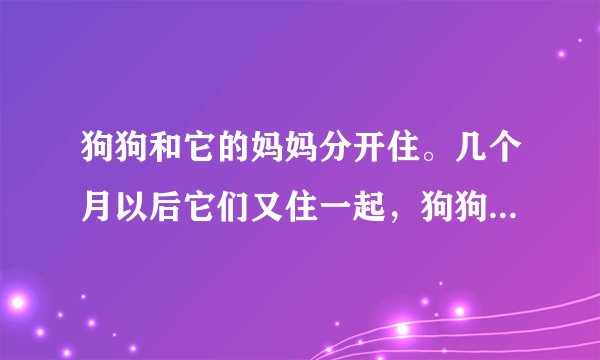 狗狗和它的妈妈分开住。几个月以后它们又住一起，狗狗还认识它的妈妈吗？