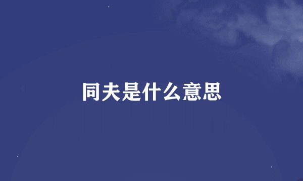 同夫是什么意思