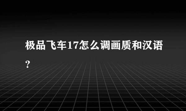 极品飞车17怎么调画质和汉语？