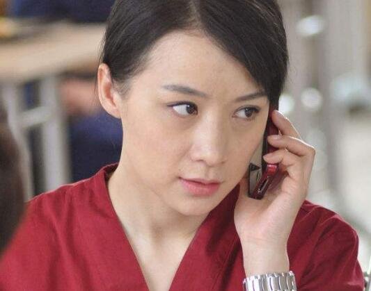 再婚进行时结局