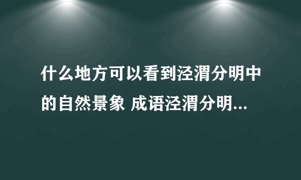 什么地方可以看到泾渭分明中的自然景象 成语泾渭分明中的自然景象可以在哪里看到