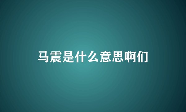 马震是什么意思啊们