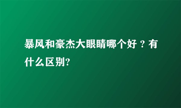 暴风和豪杰大眼睛哪个好 ? 有什么区别?