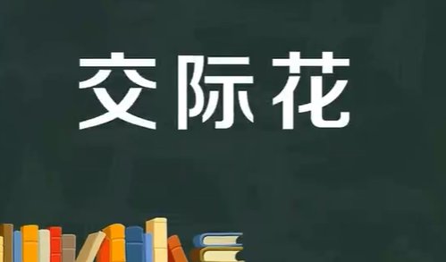 交际花是什么意思
