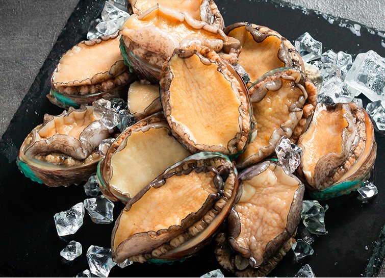 鲍鱼有几种,怎样区分鲍鱼的好坏?