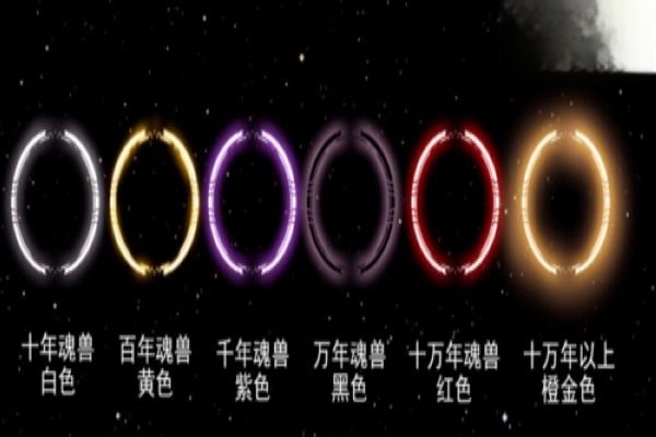 1亿年魂环是什么颜色 传说中的1亿年魂环有吗