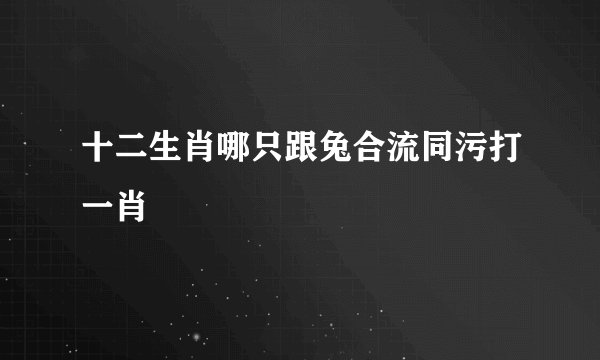 十二生肖哪只跟兔合流同污打一肖