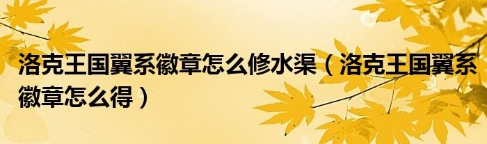 洛克王国翼系徽章怎么修水渠洛克王国翼系徽章怎么得