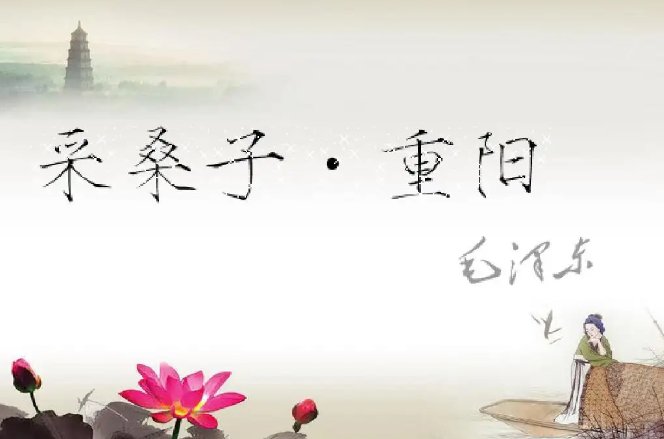 九九重阳今又重阳全诗是什么？