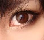 neo巨目棕 新之目棕