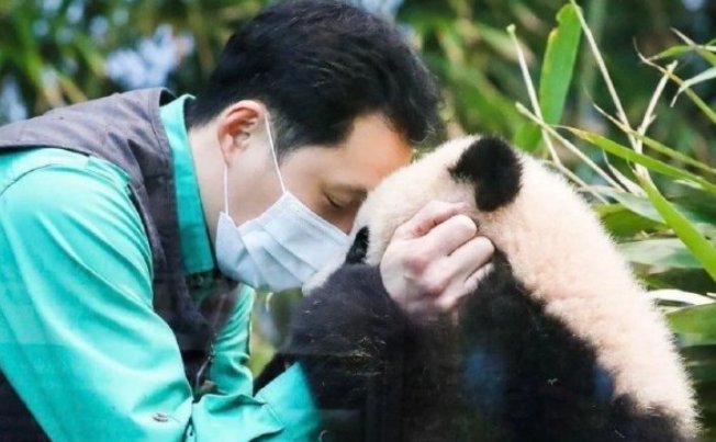 演古劝今猜一个动物