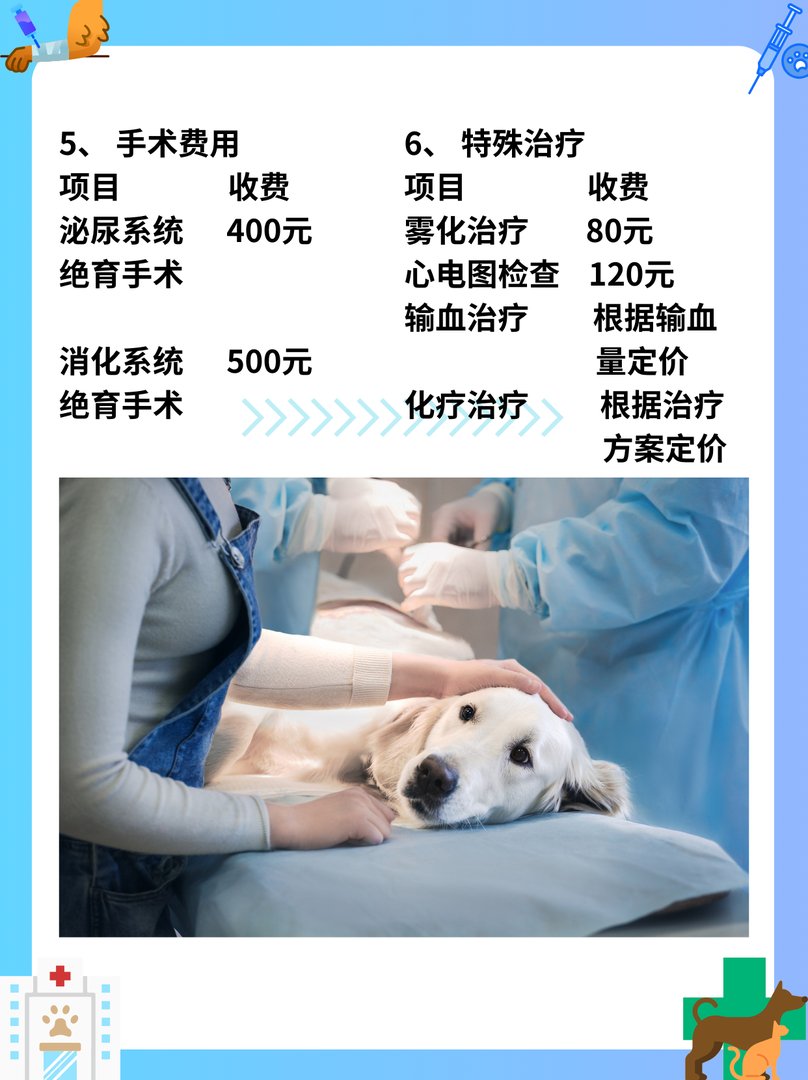 宠物医院收费价目表