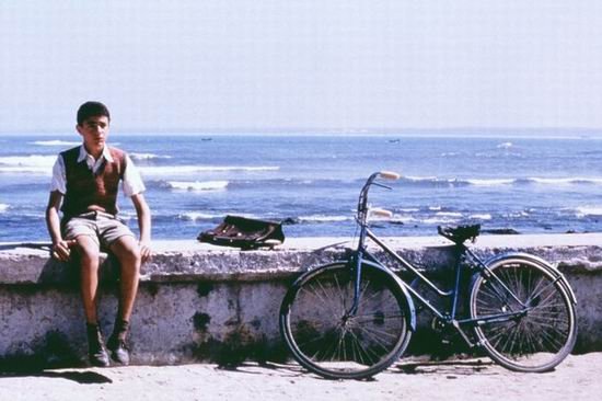 西西里美丽传说 百度云 求大神分享 祝大家新年快乐