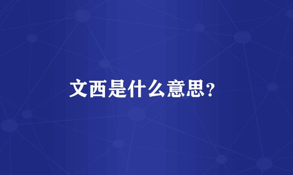 文西是什么意思？