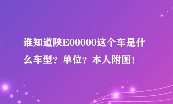 谁知道陕E00000这个车是什么车型？单位？本人附图！