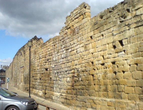 墙壁 眼睛 膝盖 用英语怎么说