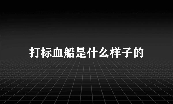 打标血船是什么样子的