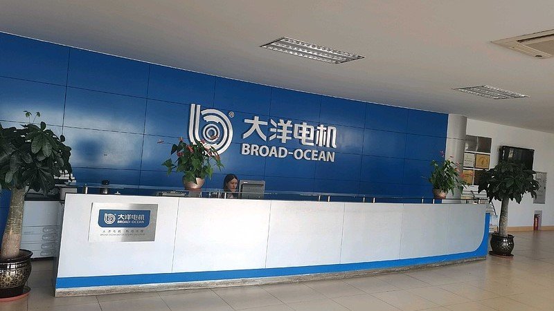 电机品牌排行榜前十名 国产