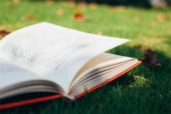 2013年河南高考分数线