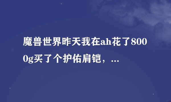魔兽世界昨天我在ah花了8000g买了个护佑肩铠，我想知道在各服现在卖多少？你们觉得好看吗？我想知道我花800