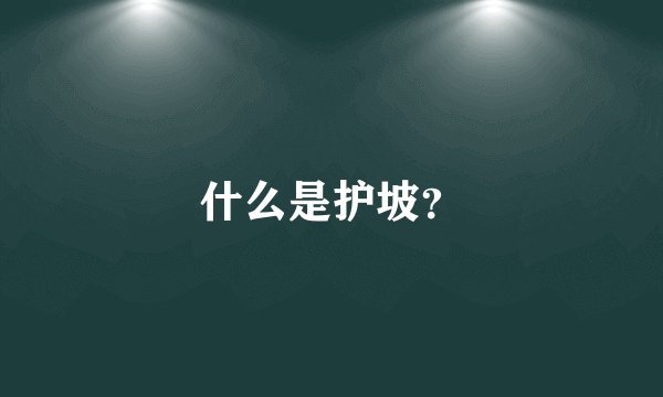 什么是护坡？