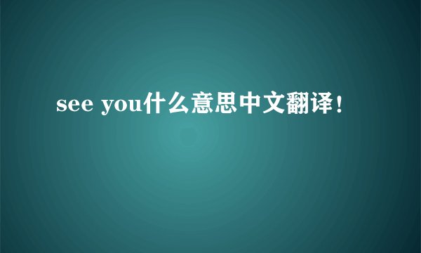 see you什么意思中文翻译！