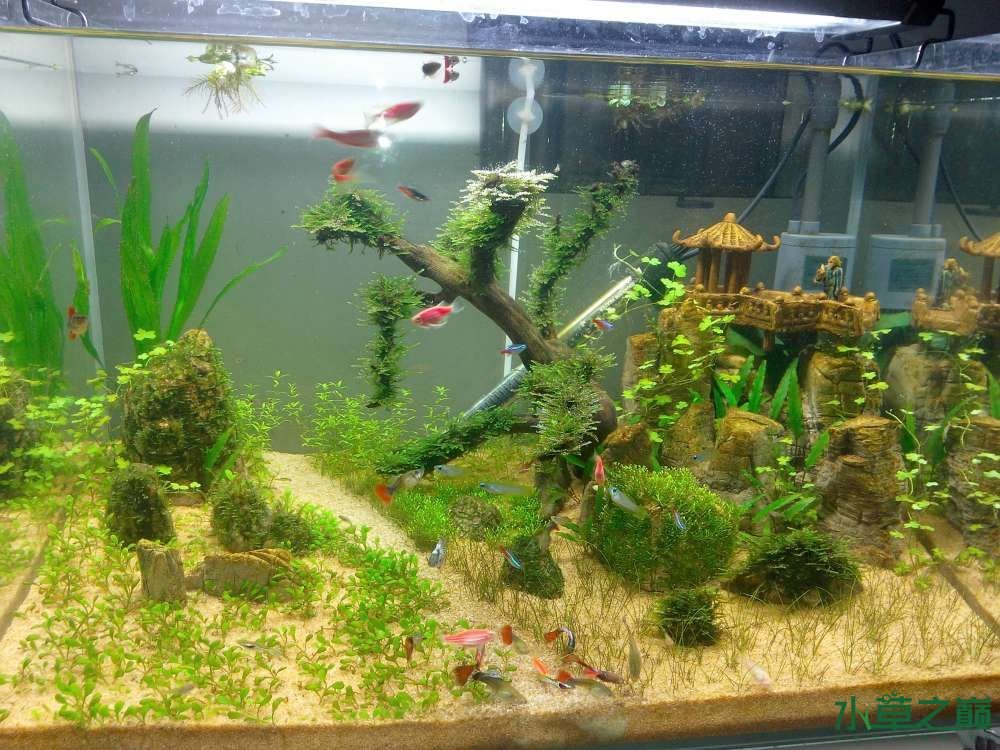 玩意生活网的成长历程