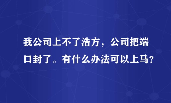 我公司上不了浩方，公司把端口封了。有什么办法可以上马？