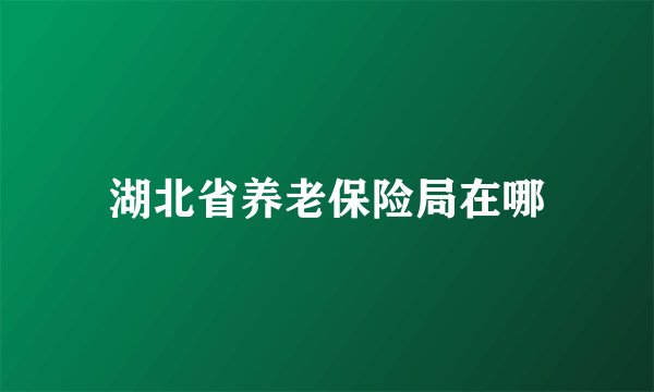 湖北省养老保险局在哪