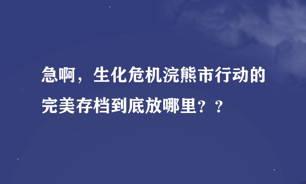 急啊，生化危机浣熊市行动的完美存档到底放哪里？？