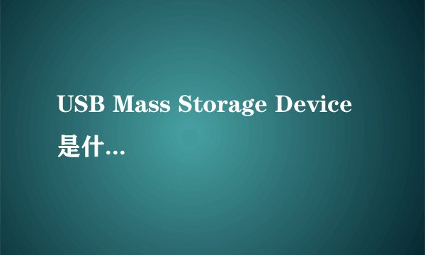 USB Mass Storage Device是什么意思?